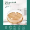 Сырница 28Х28Х10см XL-2024037