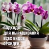 Почвогрунт "Орхидея" 3 л